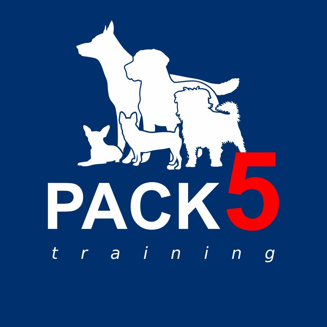 Pack 5 Training