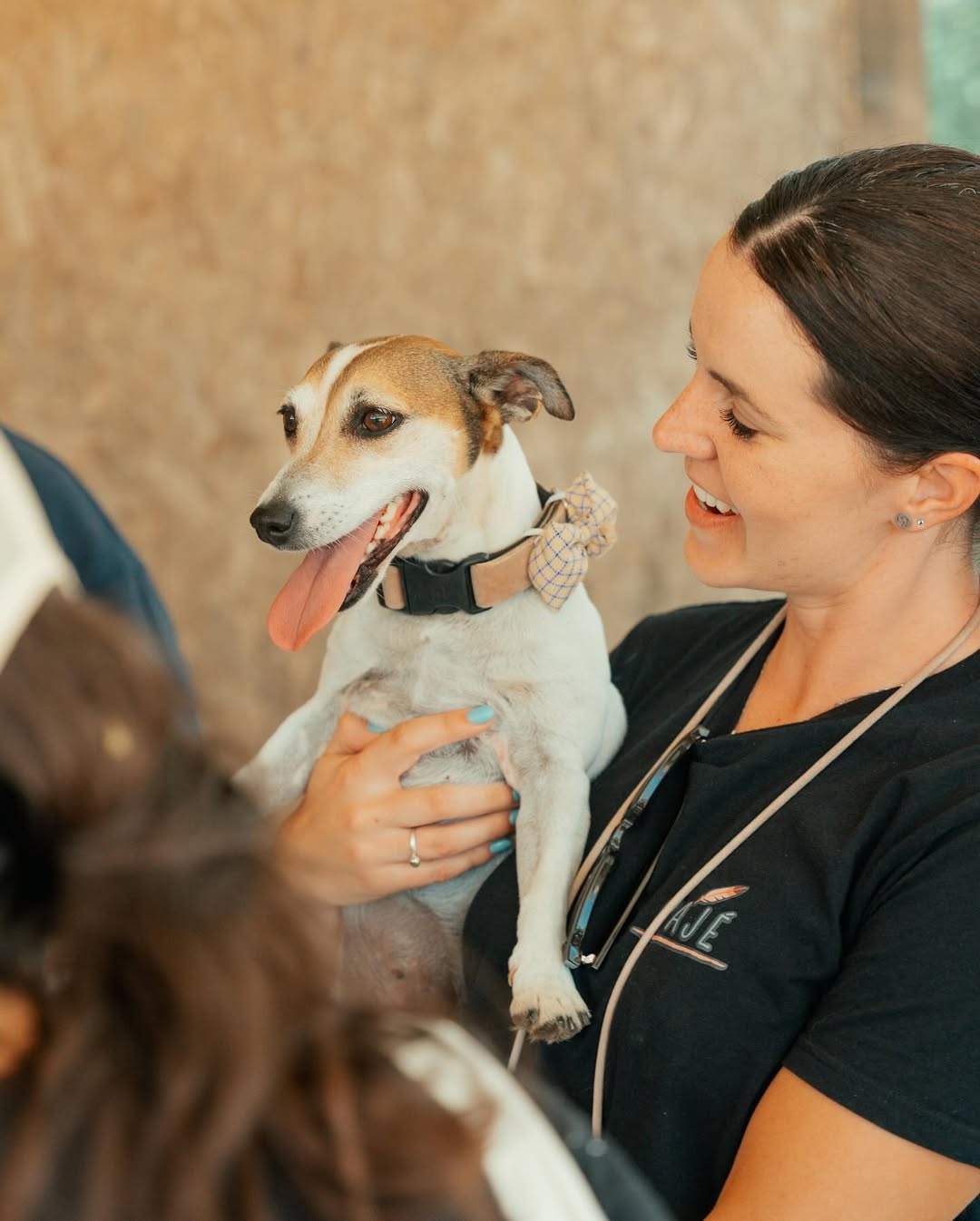Cães e tutores num momento de comunidade Pack 5