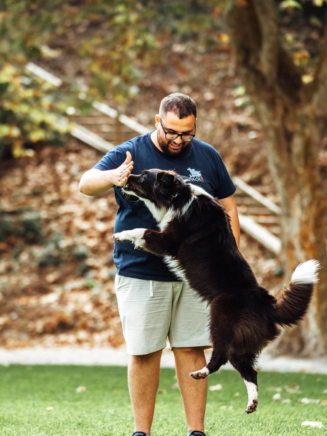 Treino canino com Lucas em Nazaré — Pack 5 Training