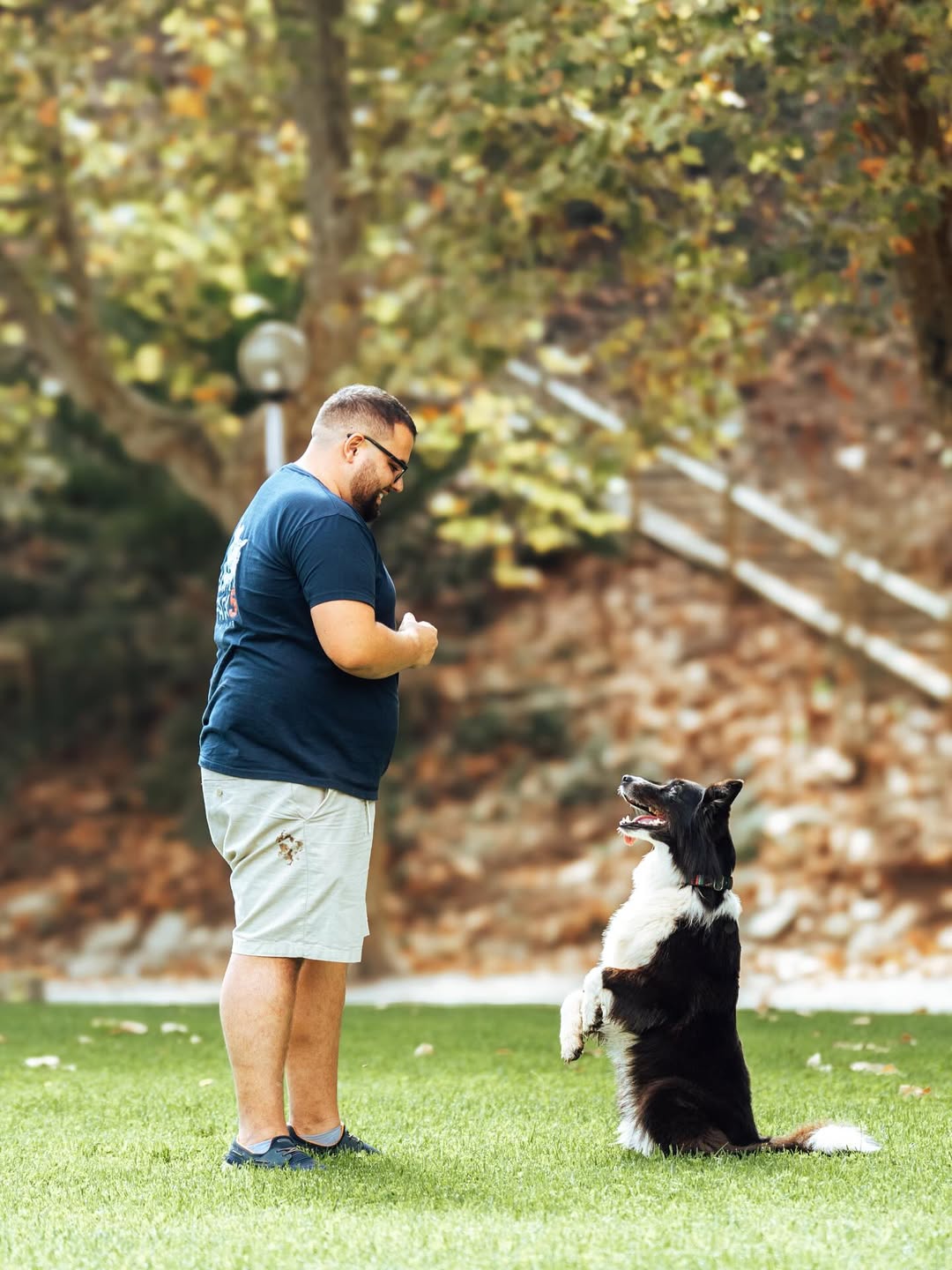 Treino de obediência com cão